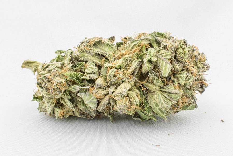 Buy Comatose Indica Buy Comatose Indica